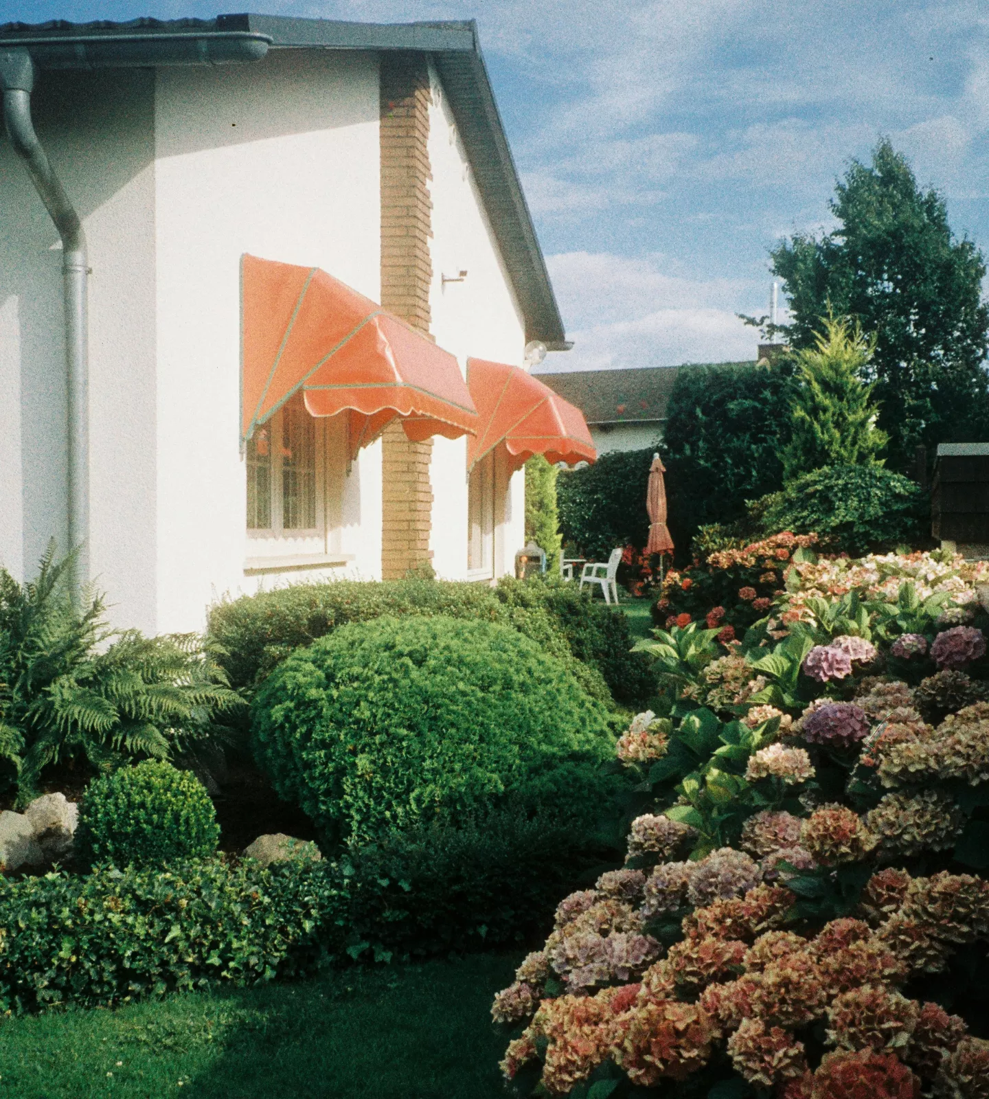Maison ancienne et jardin arboré